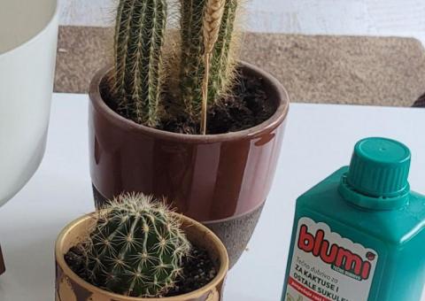 Selling plants 