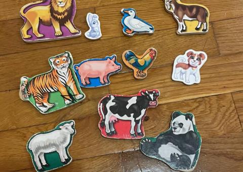 Free puzzles and magnets 