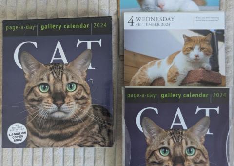 Cat calendar 