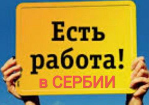 Работа в Сербии 