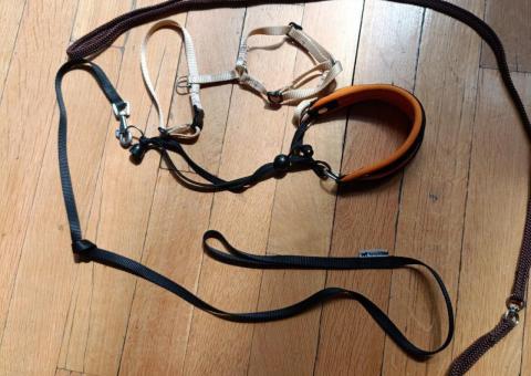 Dog gear set 