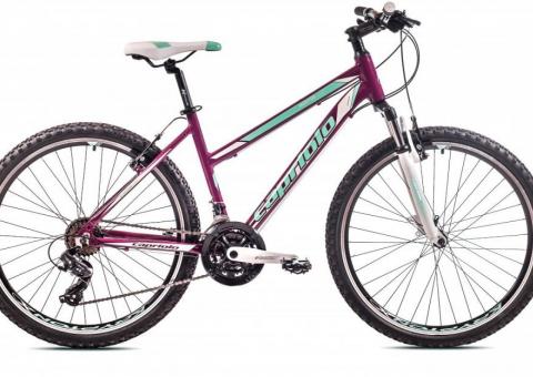 Women's bicycle 