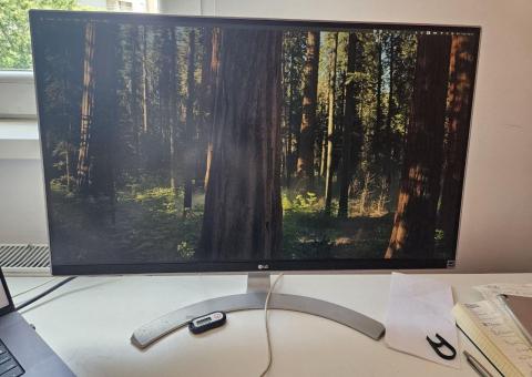 Monitor 