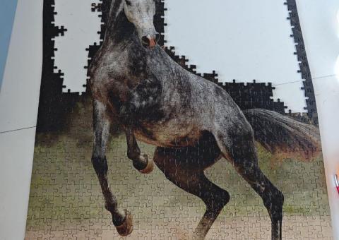 Jigsaw puzzles 