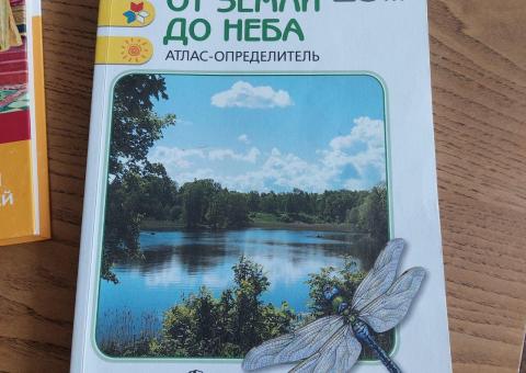 Книги и игры для детей 
